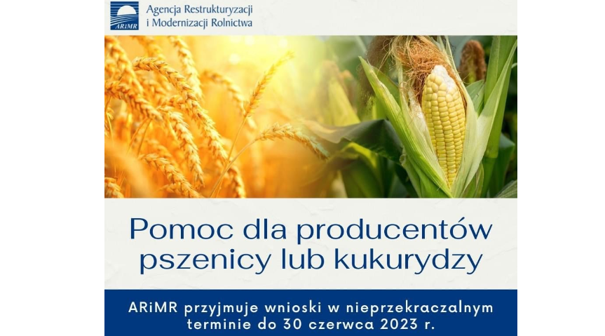 Pomoc dla producentów pszenicy lub kukurydzy Kliknięcie w obrazek spowoduje wyświetlenie jego powiększenia